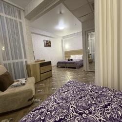 Комната люкс с 1 двуспальной кроватью
