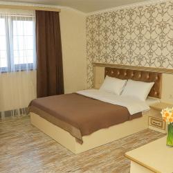 Комната VIP с 1 двуспальной кроватью