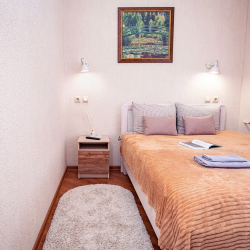 Фото Апартаменты Floris Apartments (Флорис Апартментс) на Невском