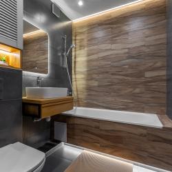 1-комнатные апартаменты улучшенные (мансарда)