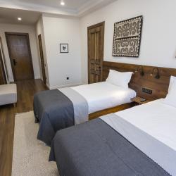 Номер люкс семейный