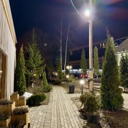 фото 91 Vnukovo Village Park Hotel & SPA (Внуково Вилладж)