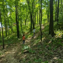 Фото Парк-отель ий