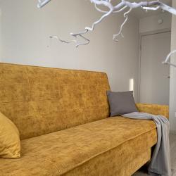 4-местные 2-комнатные апартаменты улучшенные улица Революционная 101Д