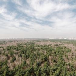 1-комнатные апартаменты стандарт