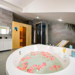 Номер полулюкс (мансарда)