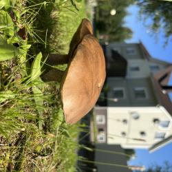 Фото Отель Гостевой дом Брейтово