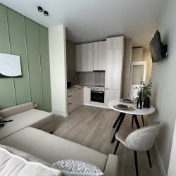 Фото Апартаменты на Депутатской 87/9