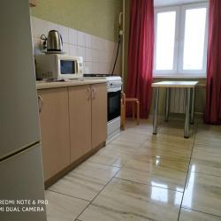 Фото Апартаменты на Московском проспекте 82к2