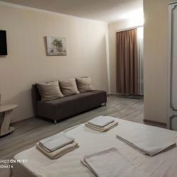 Комната люкс с 1 двуспальной кроватью