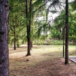 Фото Отель Разгуляй