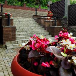 Фото Отель Медведь