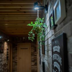 Фото Отель Олимп