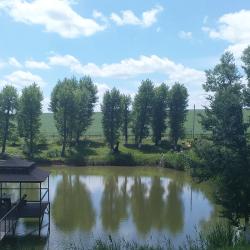 Фото Отель Любимая Усадьба