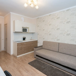 Квартира-студия, 22 м², 1 кровать