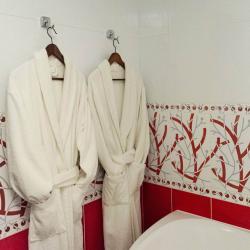 2-комнатный номер люкс