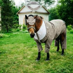 Фото Отель Усадьба Скорняково-Архангельское