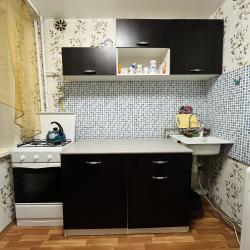 Фото Апартаменты на улице Гагарина 1