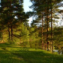 Фото Отель Пансионат Сосновый бор