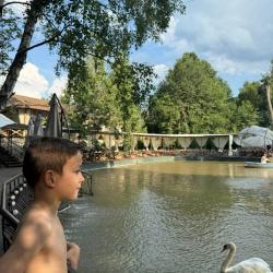 Фото Отель Мы дома - Зеркальный лес