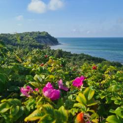 Фото Отель Коттедж на Солнечном переулке