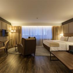 фото 30 Holiday Inn Moscow Sokolniki (Холидей Инн Москва Сокольники)