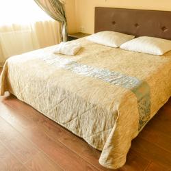 Стандарт двухместный 1 двуспальная кровать (Корпус 2 - 11,12,14,24,33)