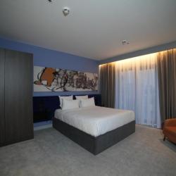 Фото Novotel Bishkek City Center (Новотель Сити центр)
