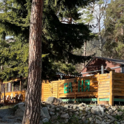 Фото Отель Тайга-House (Хаус)