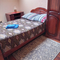 Номер стандарт с 1 односпальной кроватью (мансарда)