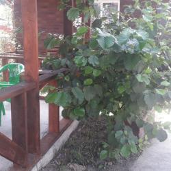 Фото Отель Фил Хаус