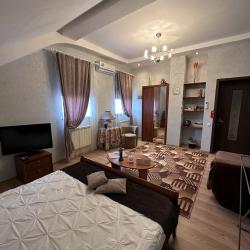 Комната стандарт с 1 двуспальной кроватью (с завтраком, мансарда)