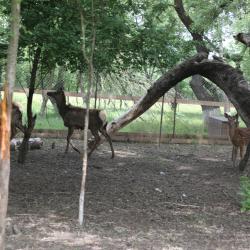 Фото Отель Беной Тревел Озеро
