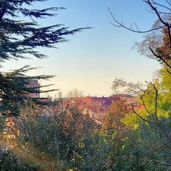 Фото Отель Семья