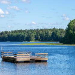 Фото Отель Villa Jarvi Загородный клуб (Вилла Ярви)