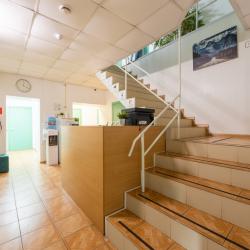 Фото Отель Гостевой дом Зеленый