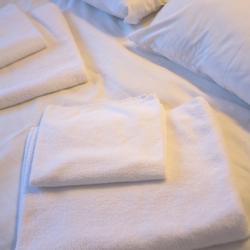 Фото Отель Одон