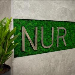 Фото Отель Nur (Нур)