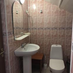 Номер стандарт улучшенный с 1 двуспальной кроватью и собственной кухней (мансарда)