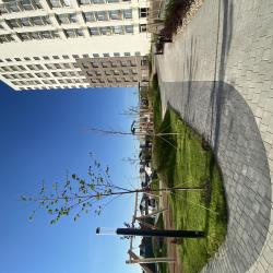 Фото Апартаменты ул. Фармана Салмановна, 1