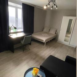 Фото Апартаменты на проспекте Ленина 120А