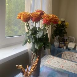 Фото Апартаменты Усадьба