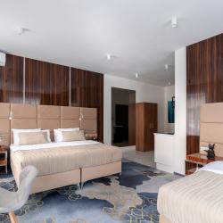 1-комнатные апартаменты люкс для 5 гостей в V hotel