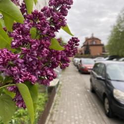 Фото Апартаменты Кантиата Сити Вью