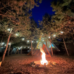 Фото Отель Кусочек рая в соснах