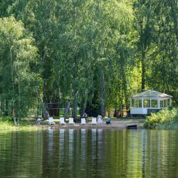 Дом с видом на лес гостиная со спальней (40 кв.м)
