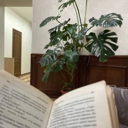 Фото Отель Сириус