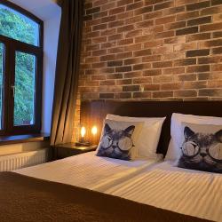 Апартаменты стандарт (Loft Бештау)