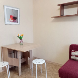 Фото Апартаменты на улице Татищева 17А