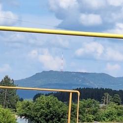 Фото Отель Лесная жемчужина